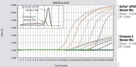 SYBR Green qPCR试剂