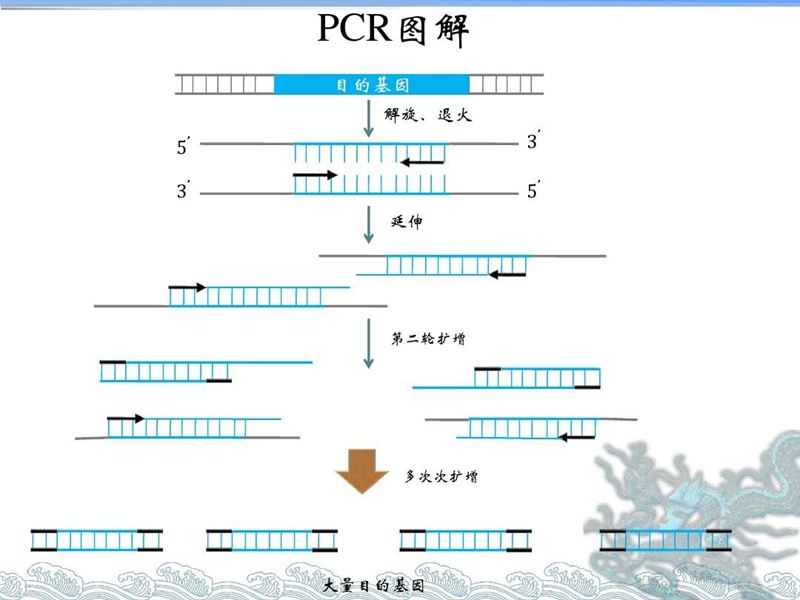2X H-TECH PCR Premix 