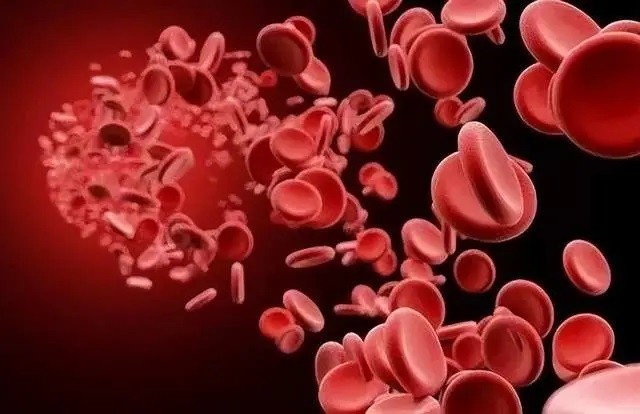 SNP：探索基因变异的奥秘